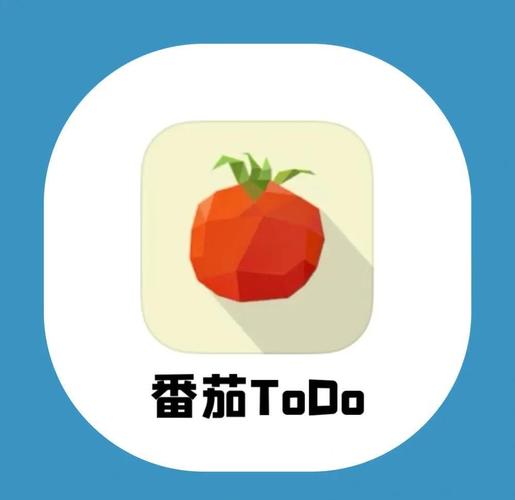 番茄DOTO是什么