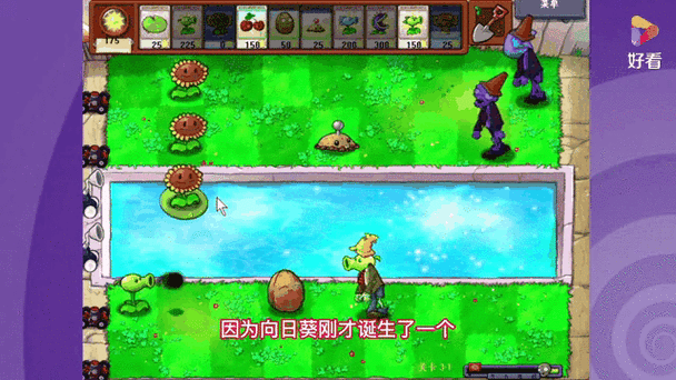 pvz自动收集阳光怎么开