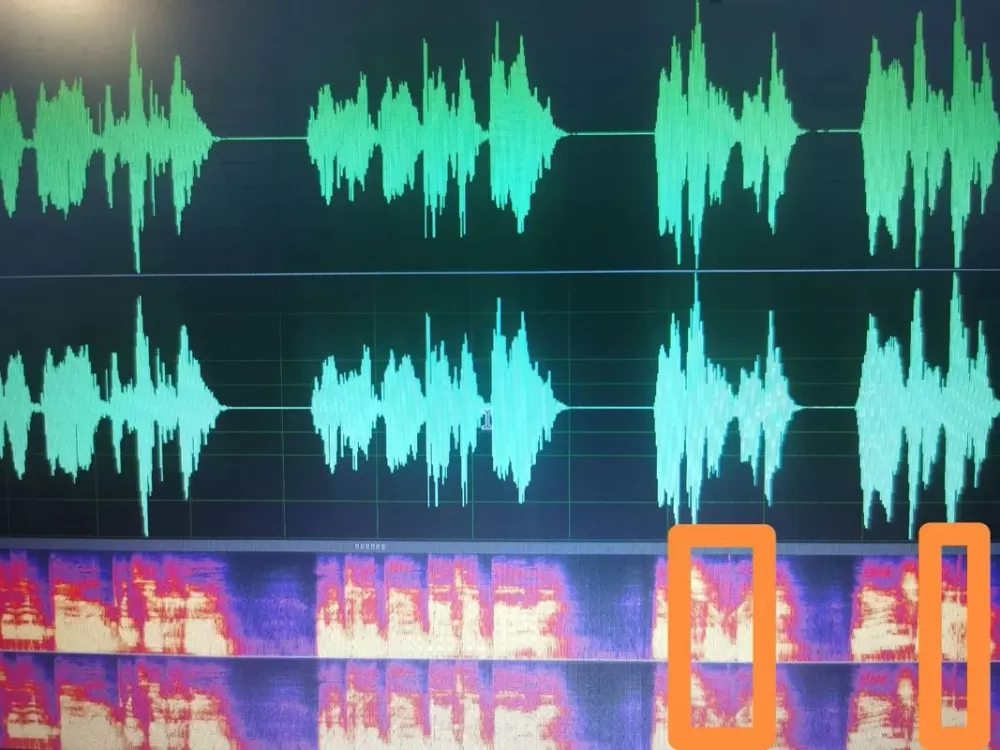 魔声短视频