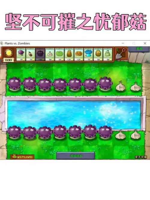 蘑菇云游戏