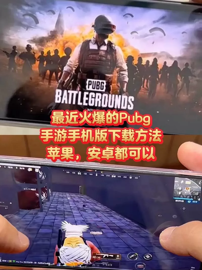 PUBG 轻量版怎么网页下载图标
