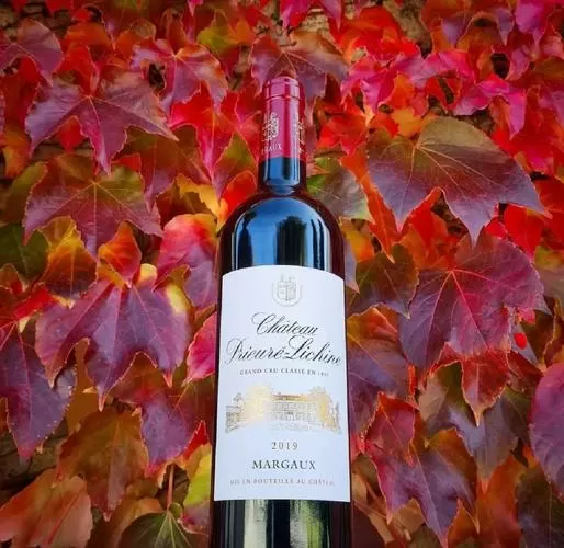 calicanto红酒2019图标