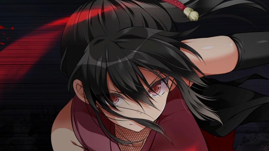忍堕安卓汉化版安装教程