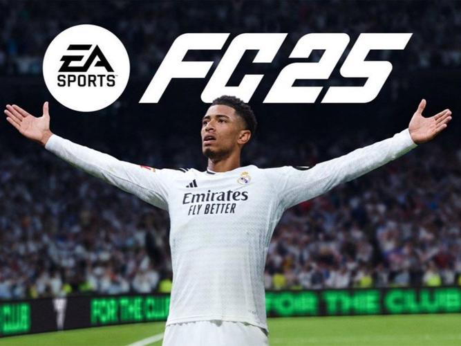 FIFA25安卓版中文版图标