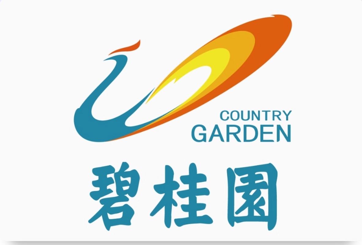 碧桂园售楼系统app图标