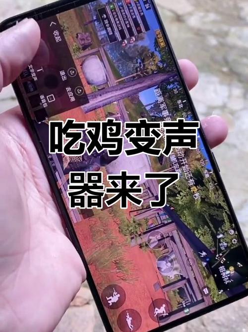 吃鸡游戏变声