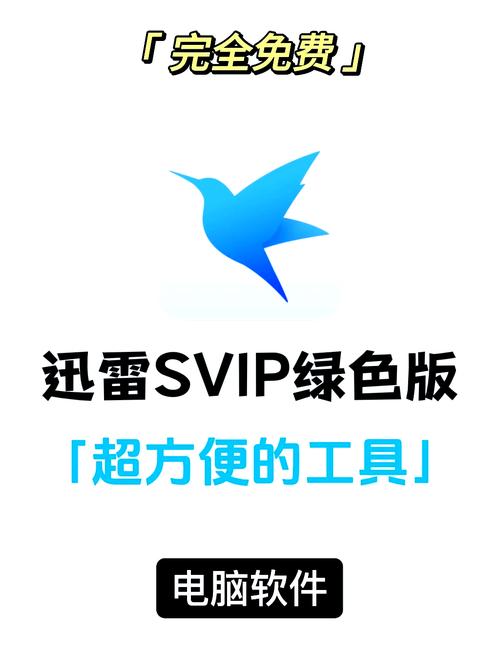 迅雷视频2024最新版永久vip版图标