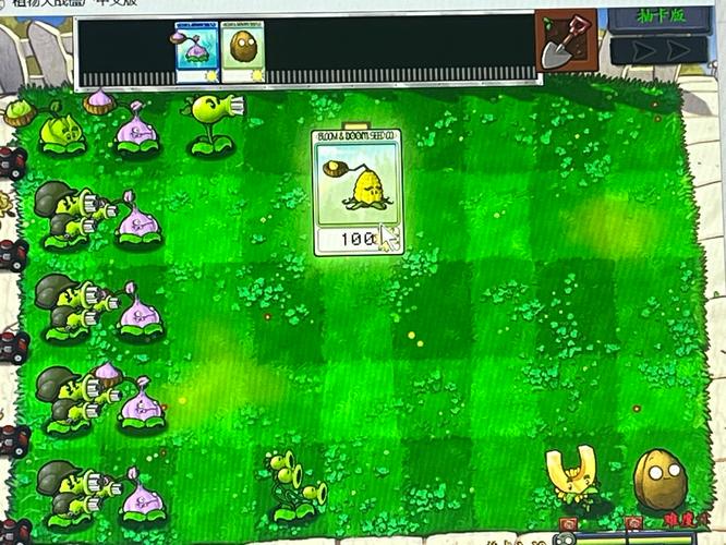 pvz随机抽卡版修改器怎么下载图标