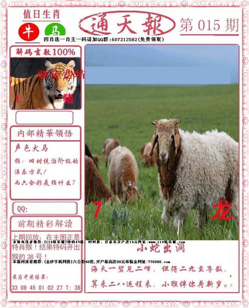 小喜通天报大型图库