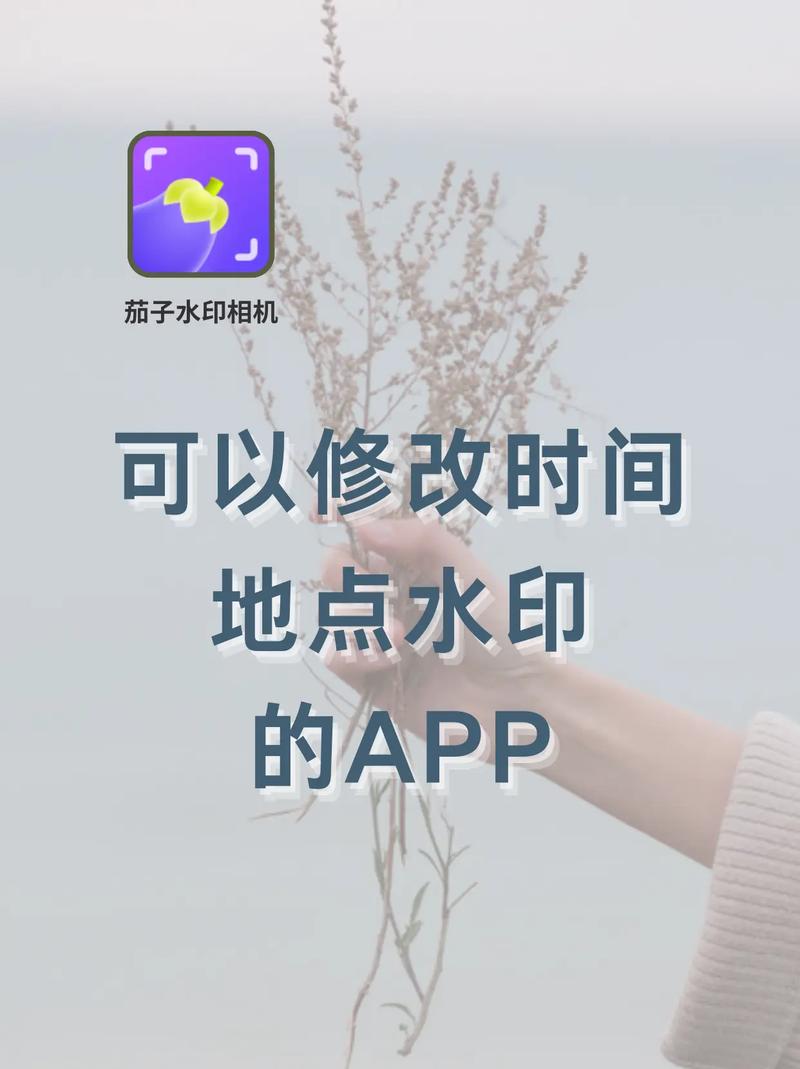 水印相机修改时间破解版手机版图标