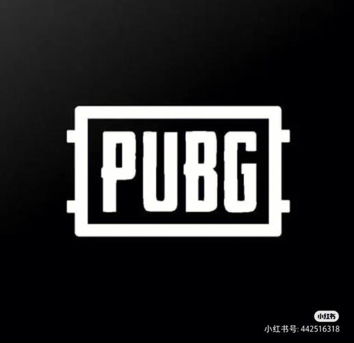 pubg免登录版图标