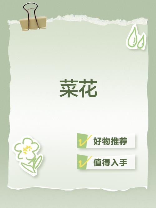 花菜资讯赚钱版免广告版图标