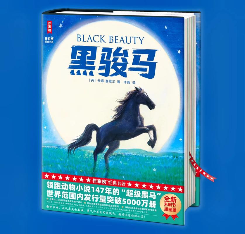 黑马自阅