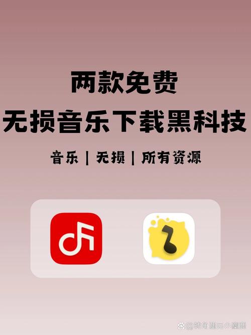 51ape无损音乐下载平台图标
