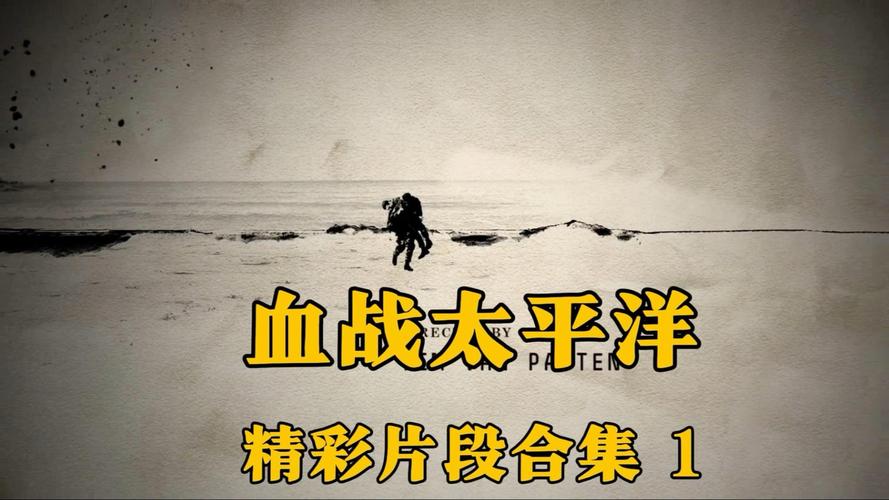 血战太平洋安装图标