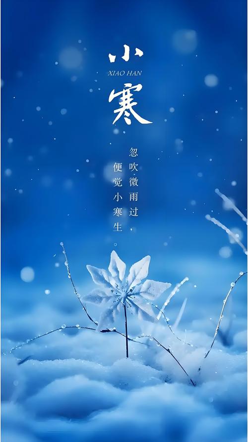 小寒公益改文件官方最新版本无弹窗版图标