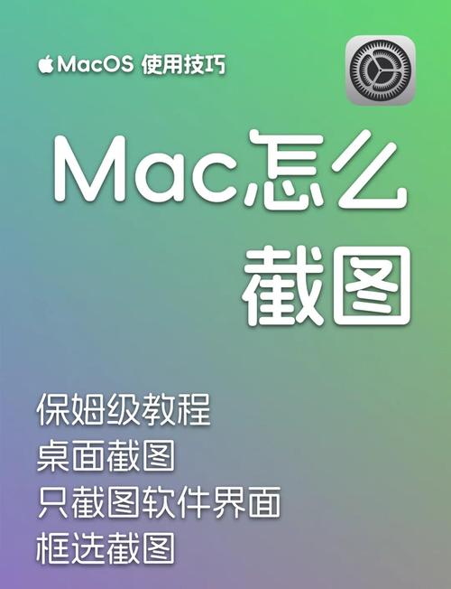 mac版