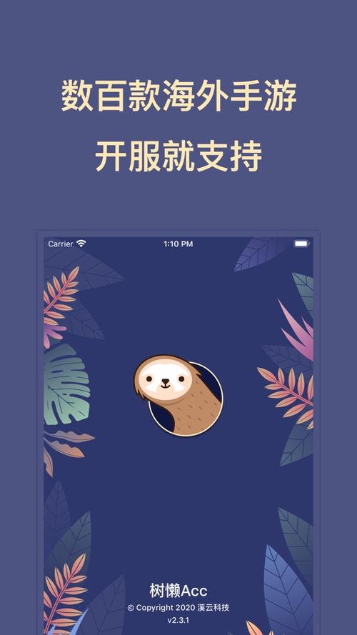 树懒acc词语
