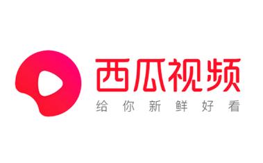 西瓜视频看视频赚钱版本