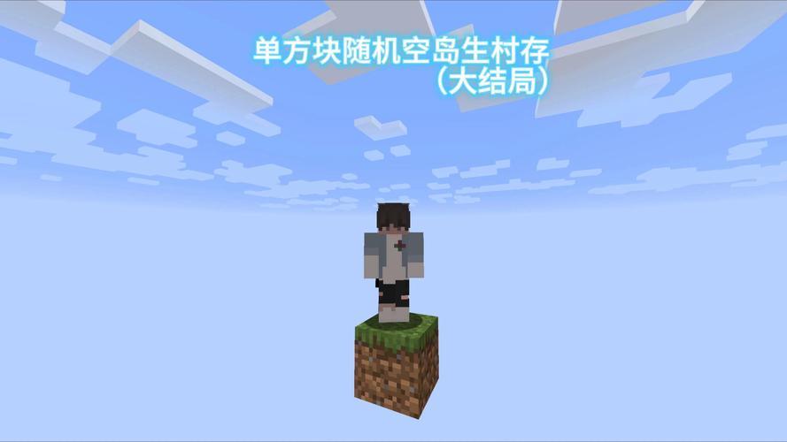 随机方块空岛生存mod最新版