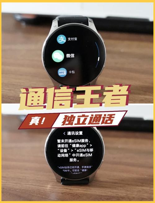 vivowatch2应用商店图标