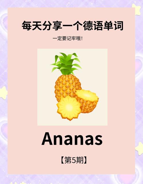 菠萝英语发音看书版