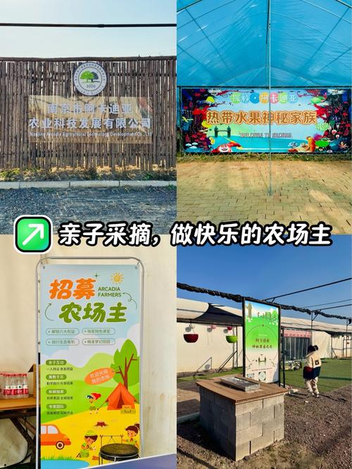 采摘乐园赚钱版图标