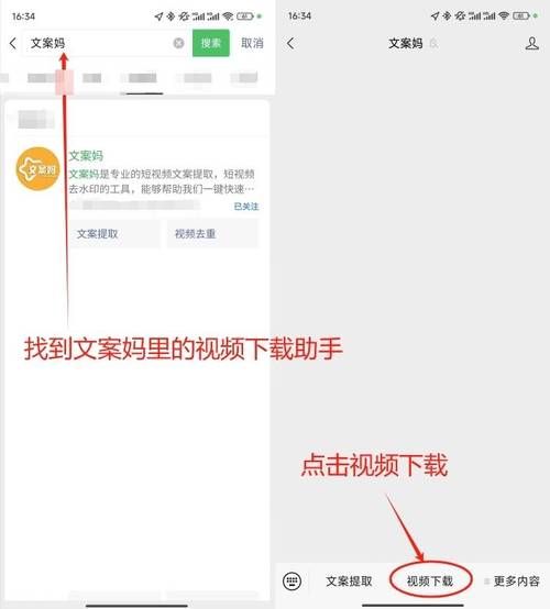 人成免费视频网站下载解锁全部书源