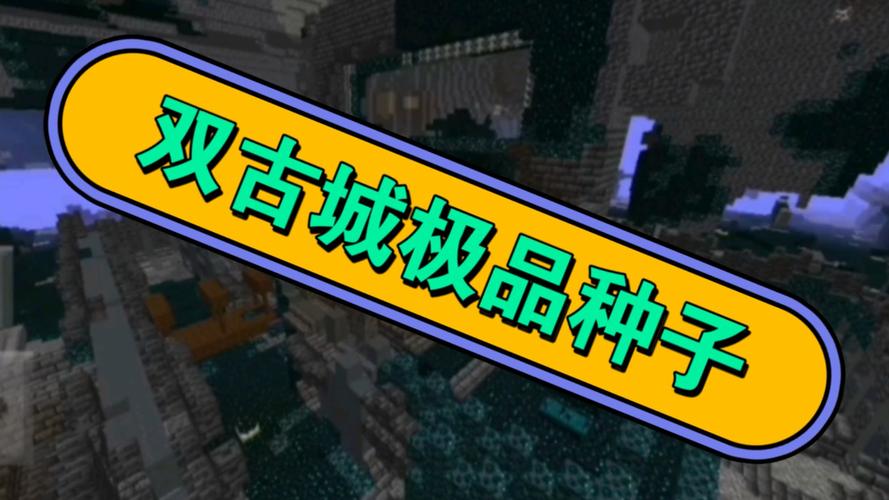 我的世界网易版最好玩的种子