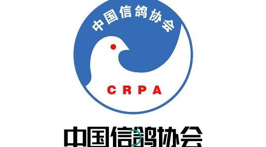 中鸽3g直播网中国信鸽网