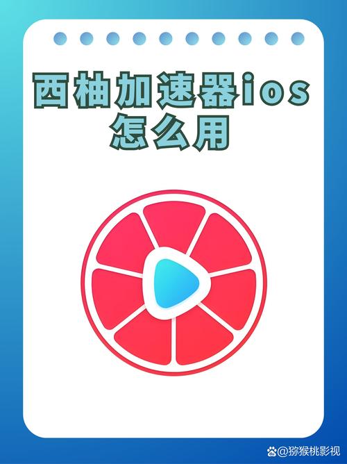 西柚加速器最新版本2025