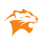 猎豹加速器app官网版