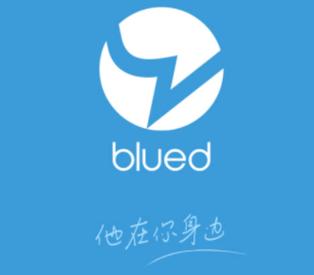 布鲁帝安装下载blued图标