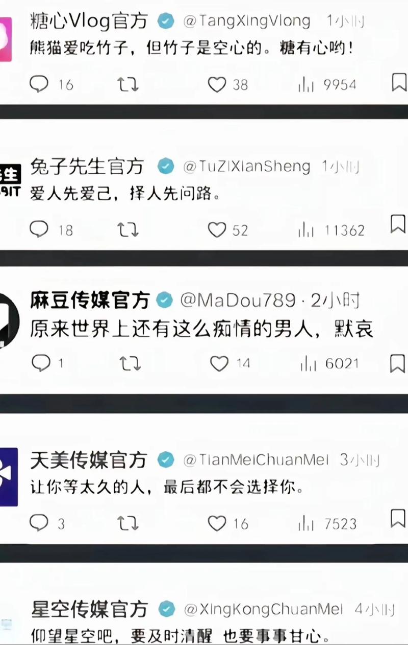 tangxingvlog破解版