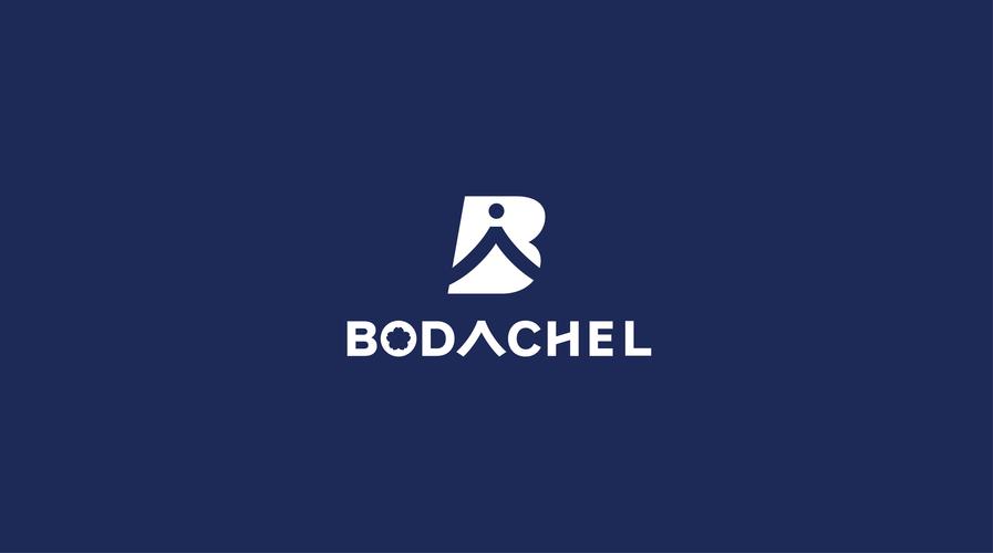 BODO官方正版安装图标