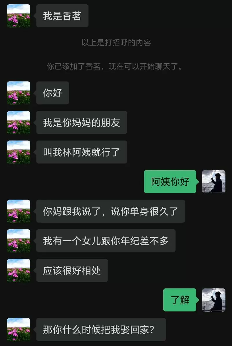 大龄阿姨聊天软件