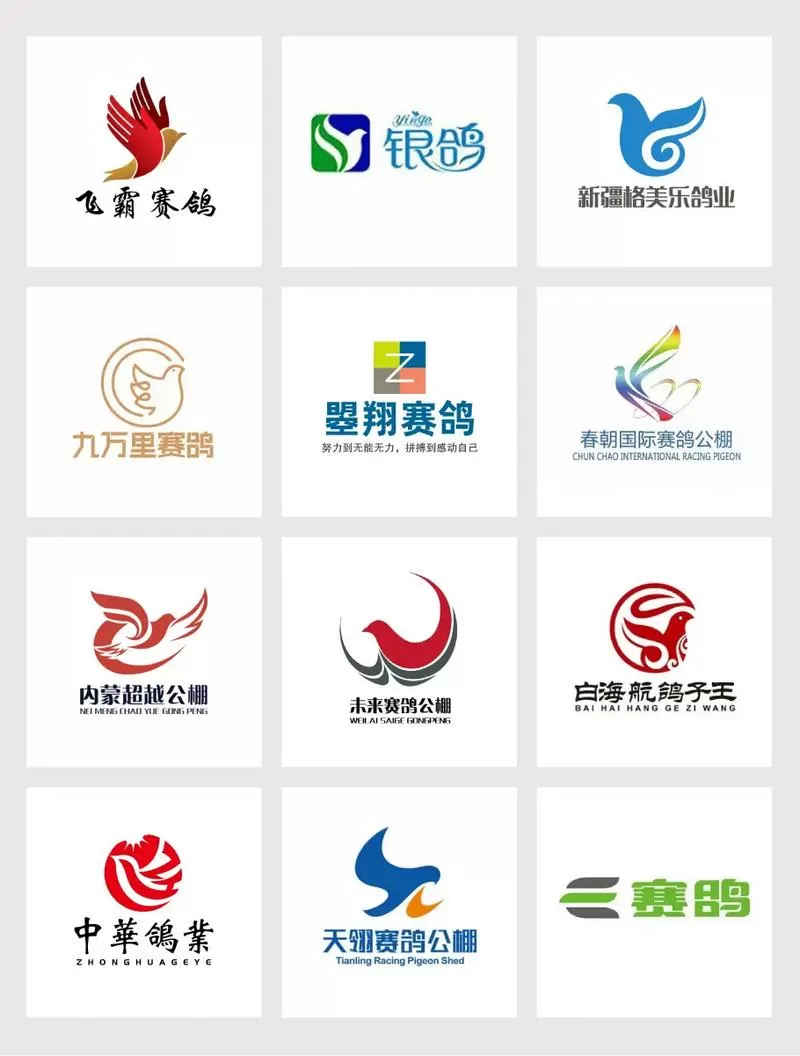 云飞赛鸽赛事直播