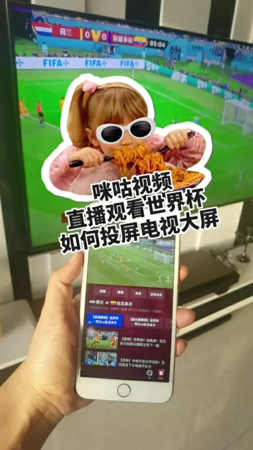 咪咕投屏功能被关闭了图标