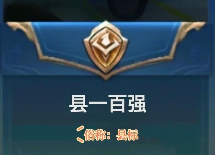 王者市级标志图片图标