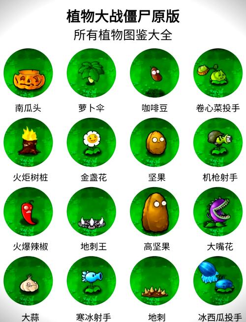植物大战僵尸全存档植物大战僵尸全存档