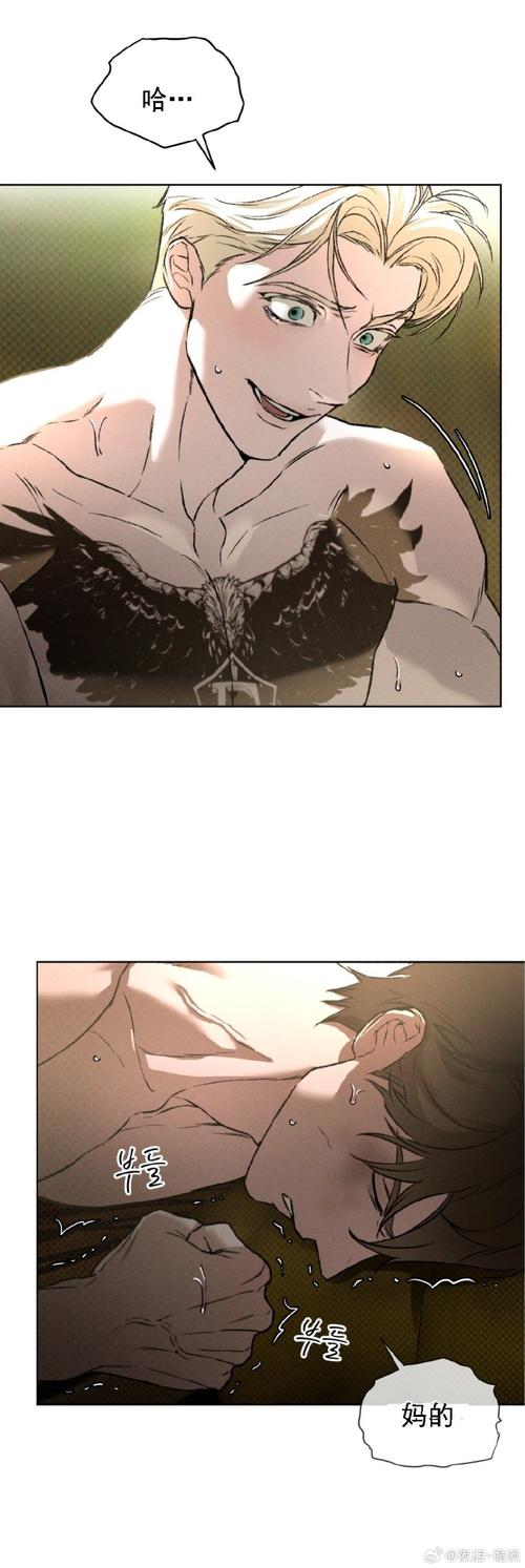 上流社会漫画未删减