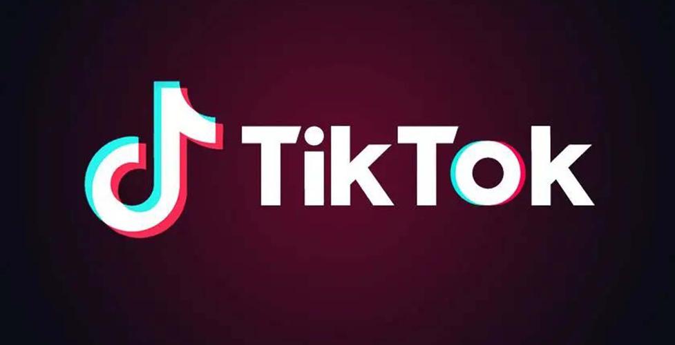 tiktok色板免费安装大全图标