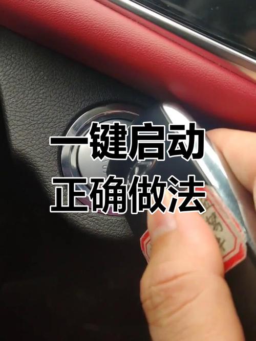 一键启动使用视频教程图标