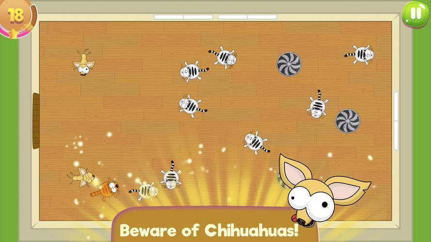 肥猫加速器1.0