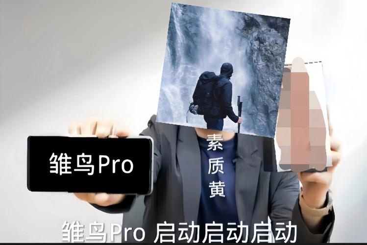 雏鸟pro短视频
