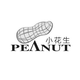 花生兼职图标