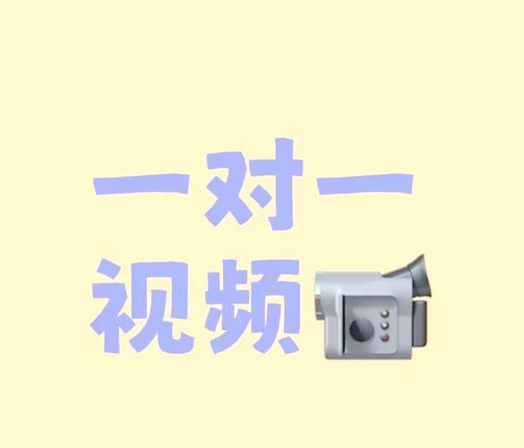一对视频聊天