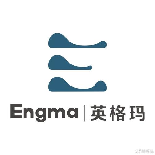 英格玛Enigma图标