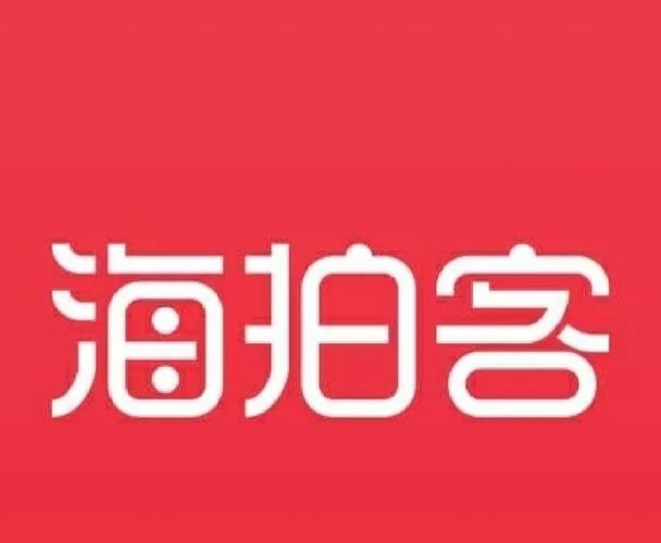 海拍客供应商平台看书版
