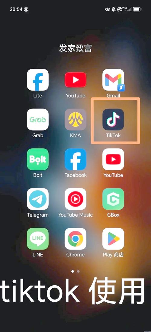 TikTok绿色版